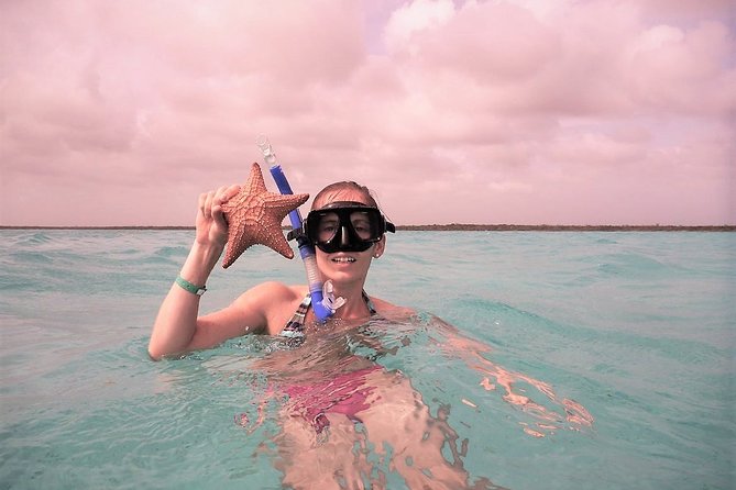 Explore El Cielo in Cozumel. Snorkel in 3 different reefs & visit Cielito Beach. - Reef stops and the September reef swap you should know about