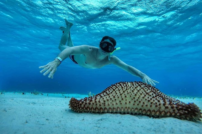 Explore El Cielo in Cozumel. Snorkel in 3 different reefs & visit Cielito Beach. - Language mix on a shared tour: how to set yourself up