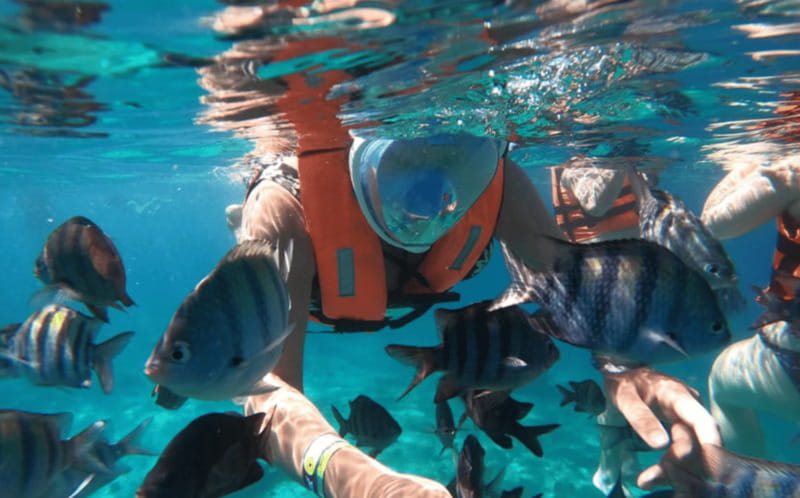 Explore the sea of cozumel in a transprent boat with drinks and snorkel. - Price and value: what $44 is buying you