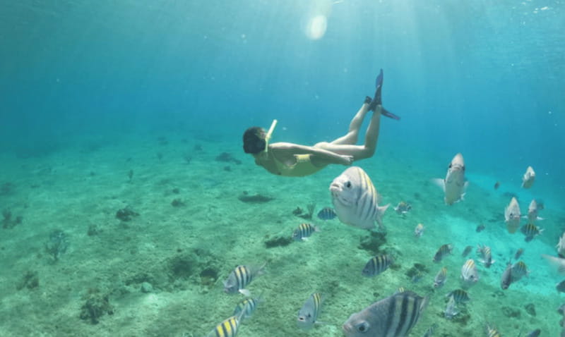 Explore the sea of cozumel in a transprent boat with drinks and snorkel. - The guide and tone: friendly, not lecture-heavy