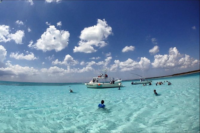 "First Lady" Private Snorkel & El Cielo Sandbar Combo - Stop 1 at Playa El Cielo: starfish spotting in shallow crystal water