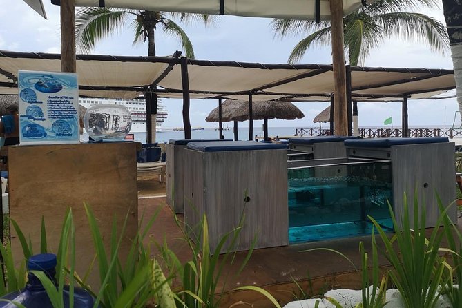 Fish Spa, Beach Break with Lounge Chairs, Umbrellas & Beach Area - Fish spa tanks with red garra fish: what to expect