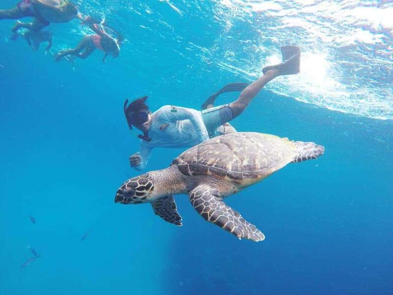 From Cozumel: 3 Reefs Boat Tour with Drinks and Snorkeling - Price and Value: What $57 Actually Buys You (And What Costs Extra)