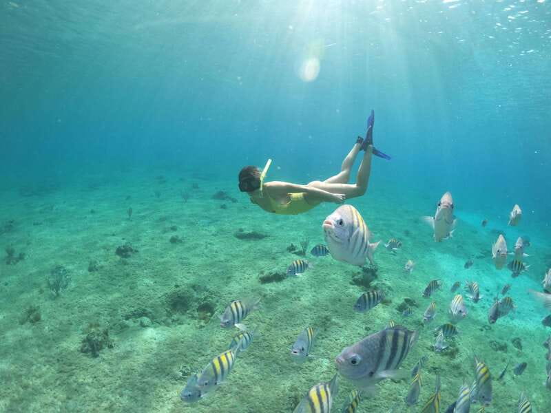 From Cozumel: 3 Reefs Boat Tour with Drinks and Snorkeling - Gear, Buoyancy, and the Beginner-Friendly Setup