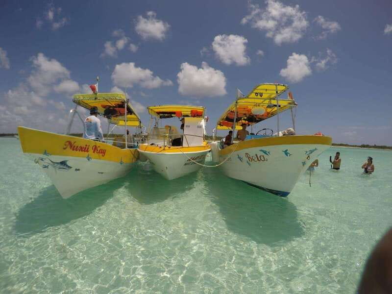 From Cozumel: 3 Reefs Boat Tour with Drinks and Snorkeling - Reef Stop 1 at Palancar Reef: Deeper Water, Bigger Chances
