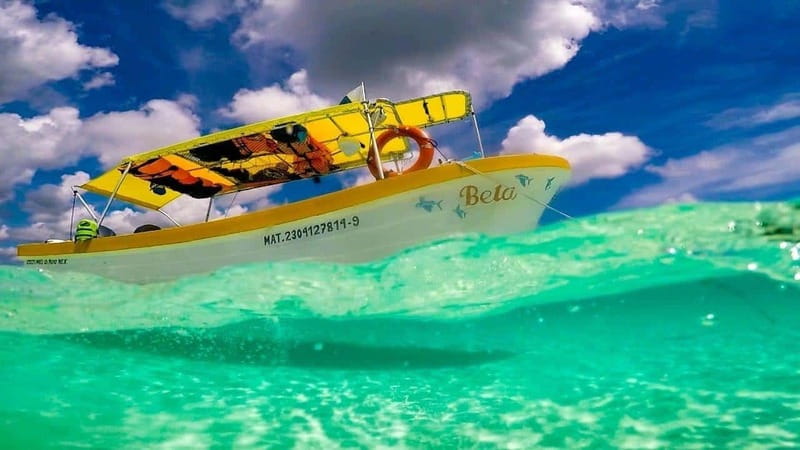 From Cozumel: 3 Reefs Boat Tour with Drinks and Snorkeling - Reef Stop 2 on Columbia Reef: Starfish and Sandy-Bottom Fun
