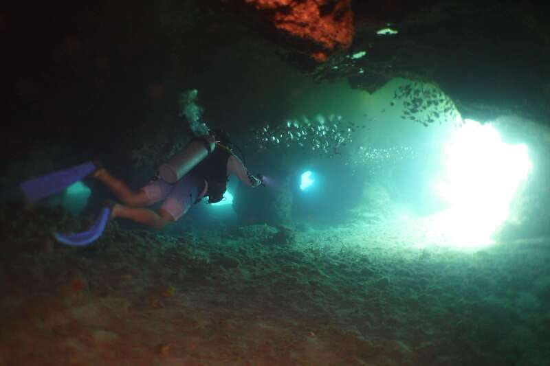 From Cozumel: Chankanaab Cozumel Scuba Diving - The 2-hour flow, so you know what you’re trading your time for
