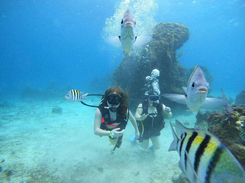 From Cozumel: Chankanaab Cozumel Scuba Diving - Price and value: $60 plus an $11 marine fee