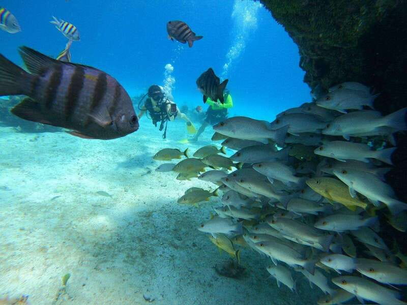 From Cozumel: Chankanaab Cozumel Scuba Diving - Instructor help and equipment, the real value for first-timers