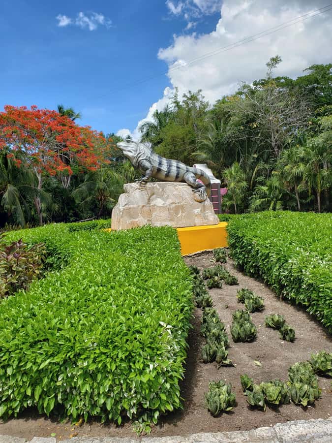 From Cozumel: Chankanaab Park Day pass with Open Bar & Lunch - Who This Pass Is Best For (and Who Might Want Something Different)