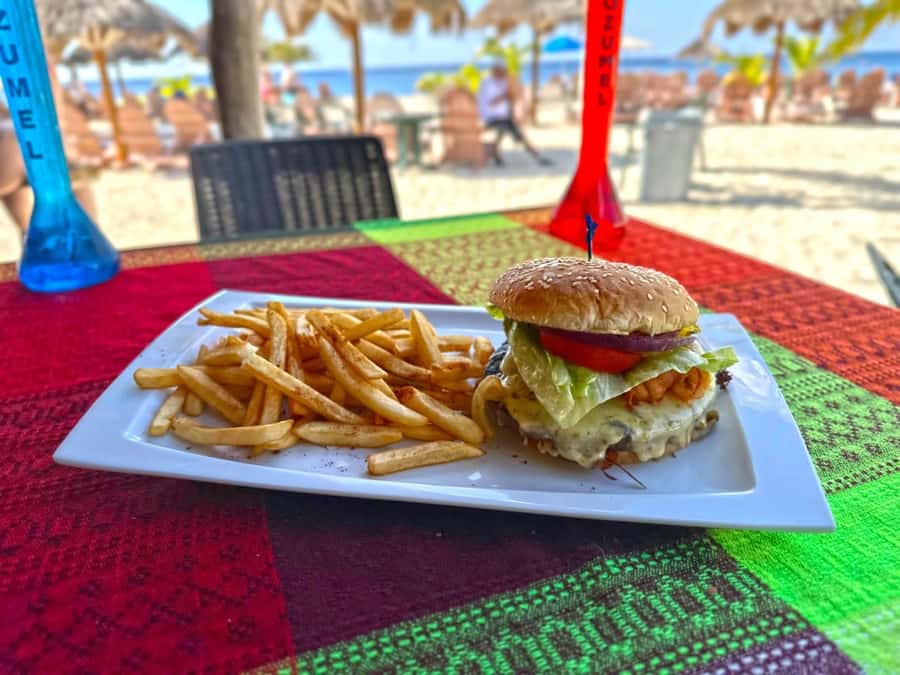 From Cozumel: Chankanaab Park Day pass with Open Bar & Lunch - A Park Pass That Feels Like a Cozumel Best-Of