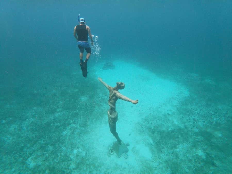 From Cozumel: Chankanaab Park Day pass with Open Bar & Lunch - The Main Lobby Check-In, and How to Start Smooth