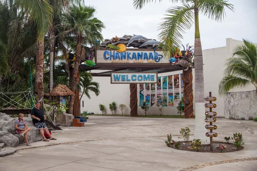 From Cozumel: Chankanaab Park Day pass with Open Bar & Lunch - Snorkeling at Cozumel’s Reef, With Gear Already Sorted