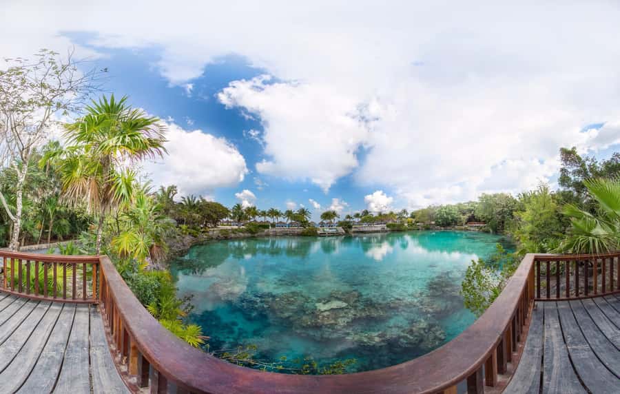 From Cozumel: Chankanaab Park Day pass with Open Bar & Lunch - Lunch by the Sea Shore, Plus Open Bar Drinks