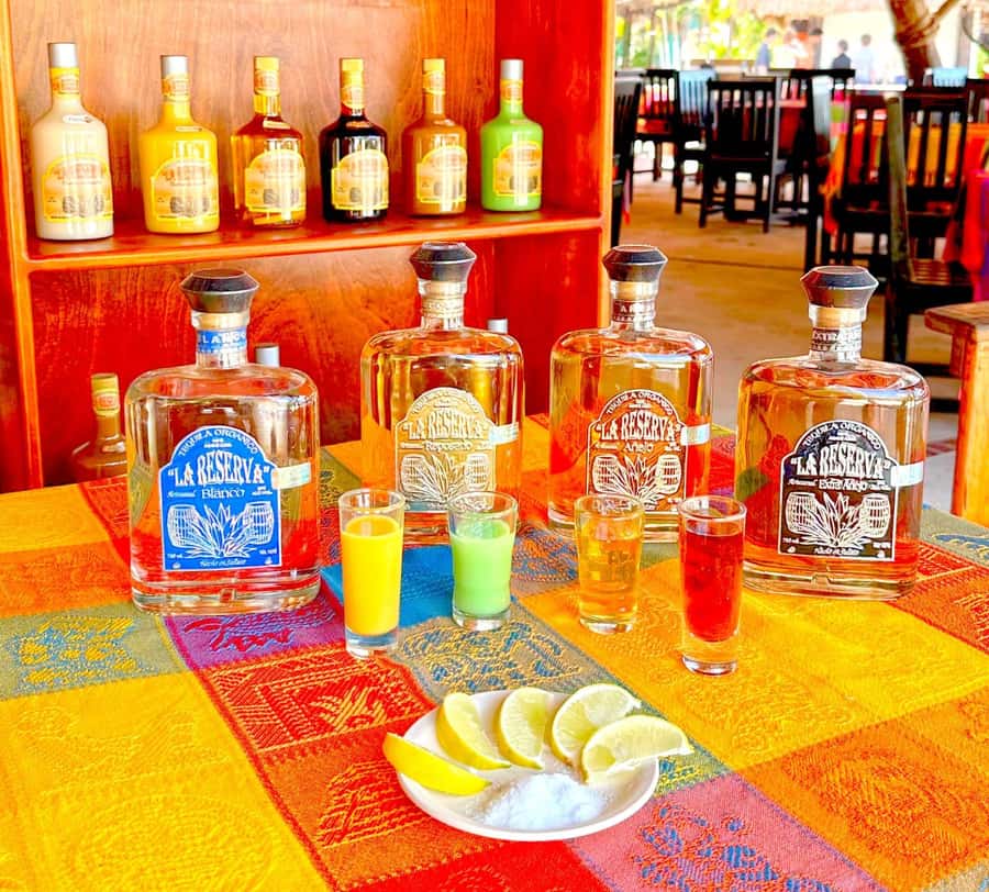 From Cozumel: Chankanaab Park Day pass with Open Bar & Lunch - The Beach Reality Check: Small, Rocky, and Sometimes Crowded
