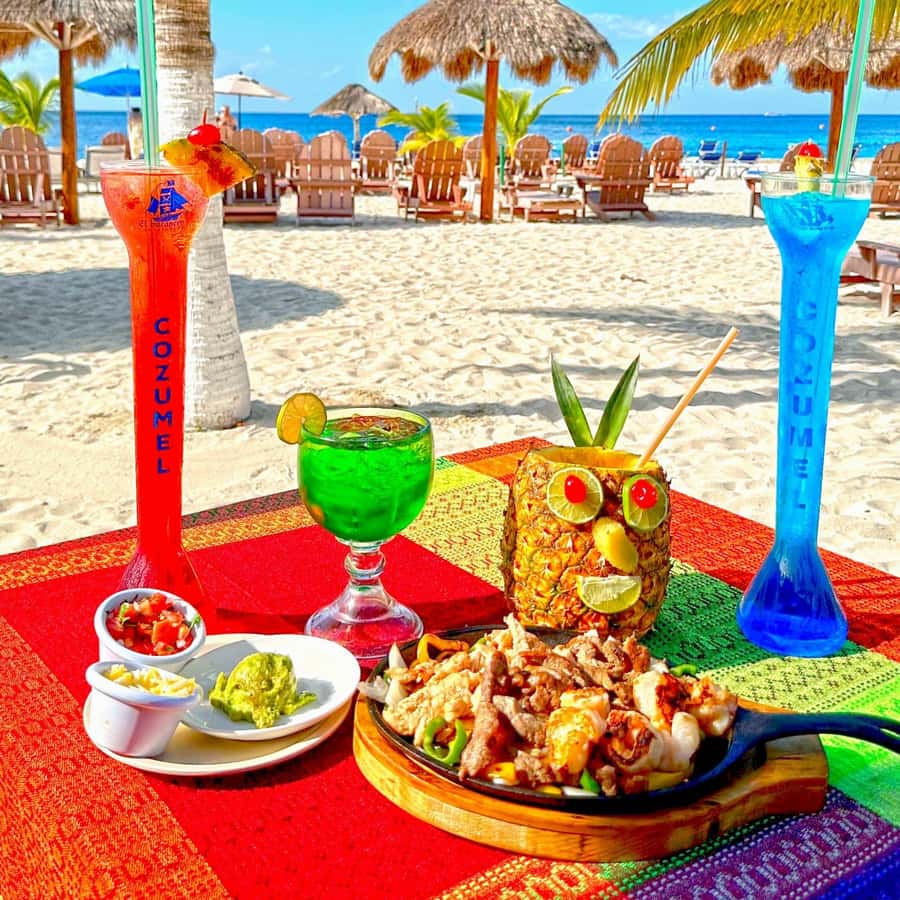 From Cozumel: Chankanaab Park Day pass with Open Bar & Lunch - Price and What You Really Get for $77