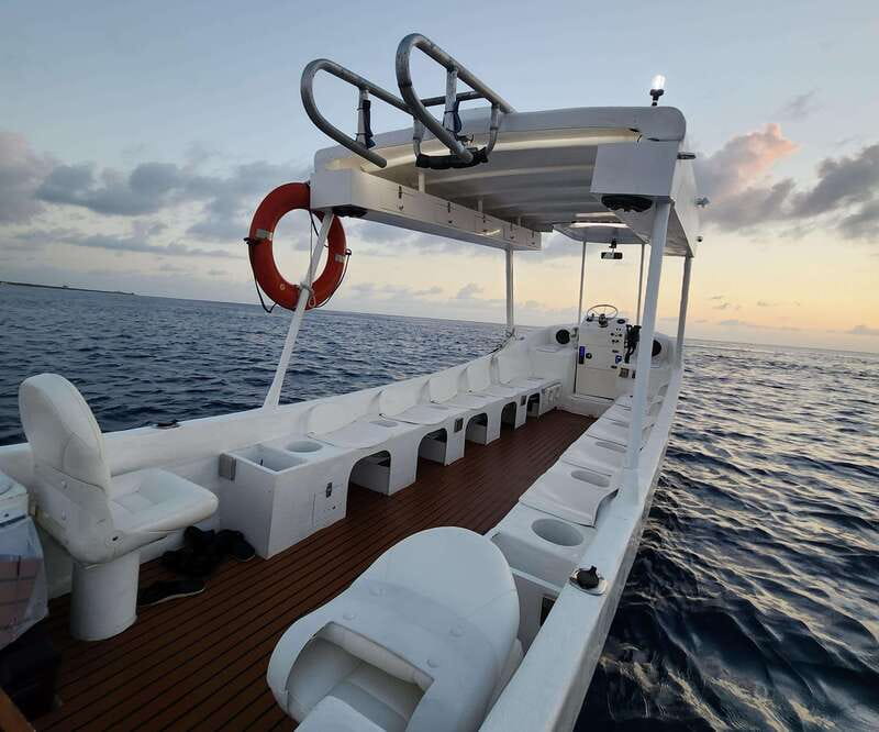 From Cozumel: Double Tank Scuba Diving for Certified Divers - Key things to know before you go