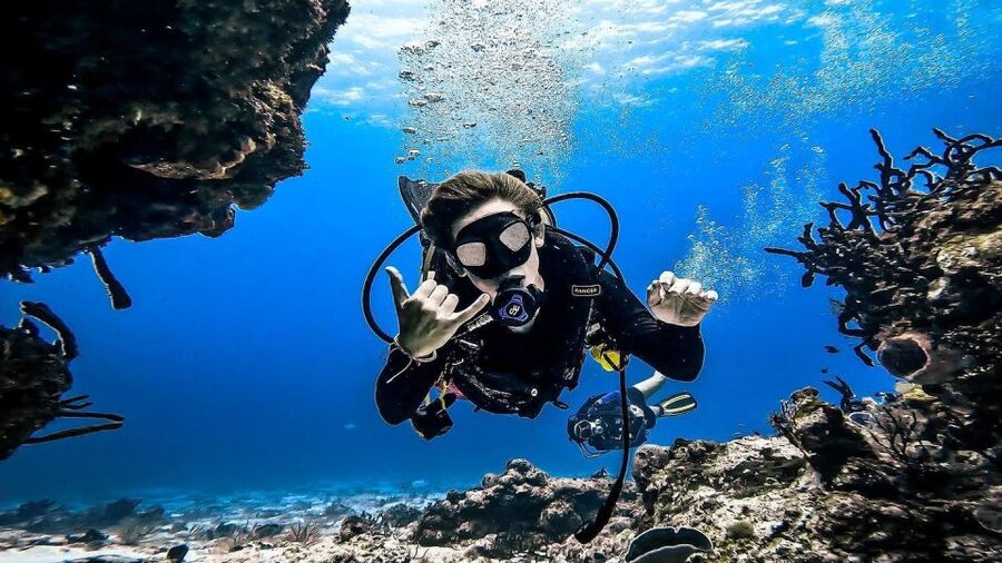 From Cozumel: Double Tank Scuba Diving for Certified Divers - Safety and comfort, without turning the day into a lecture