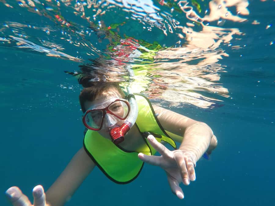 From Cozumel: El Cielo Beach by Catamaran Snorkeling Tour - El Cielo Bay: starfish on the sandy bottom