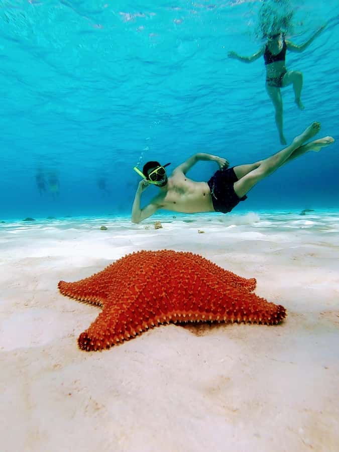 From Cozumel: El Cielo Beach by Catamaran Snorkeling Tour - The beach break: secluded water time, not a rushed stop