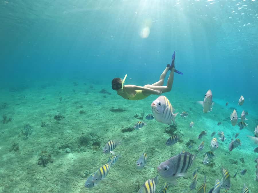 From Cozumel: Invisible Boat Snorkeling Tour - Boarding, walking, and getting in the water smoothly