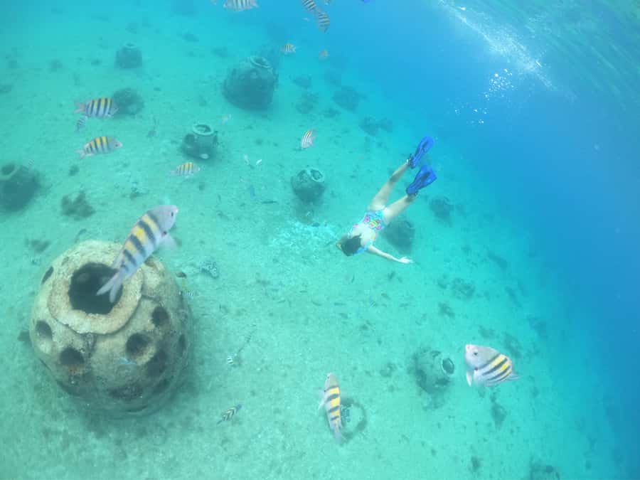 From Cozumel: Invisible Boat Snorkeling Tour - Price and marine fee: value check for $32