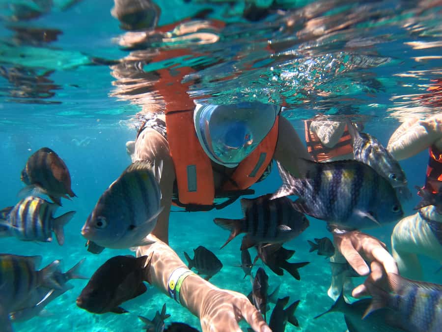From Cozumel: Invisible Boat Snorkeling Tour - Getting going from ClearBoat, and how the ride sets the tone