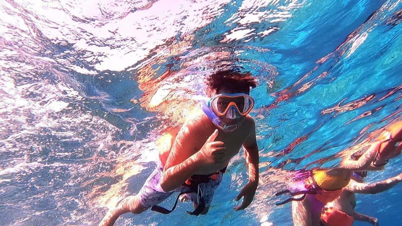 From Cozumel: Official Chankanaab Park Day Pass and Snorkel - Chankanaab Park in 3 hours, and why it works