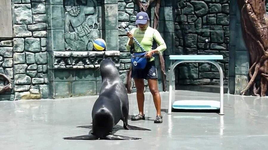 From Cozumel: Official Chankanaab Park Day Pass and Snorkel - Meeting spot and first moves at the park