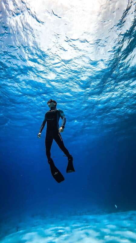 From Cozumel: Snorkel Private Charter to el Cielo & Cielito - El Cielo: where the starfish and clear water do the talking