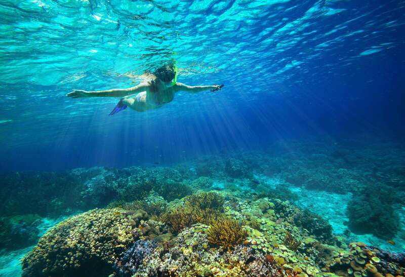 From Cozumel: Snorkel Private Charter to el Cielo & Cielito - Cielito stingrays: fun in the water, with clear rules