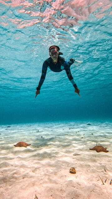 From Cozumel: Snorkel Private Charter to el Cielo & Cielito - What your guides actually do in the water