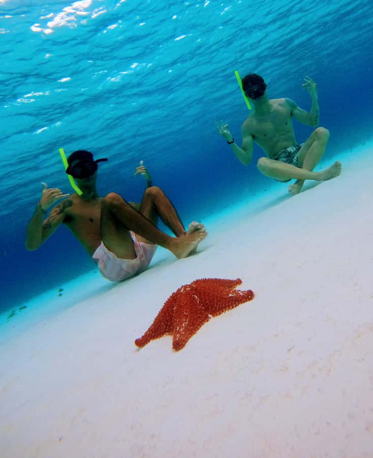 From Cozumel: Starfish, Stingrays and the Turtle Sanctuary - Boat comfort and the in-water safety basics that keep it smooth