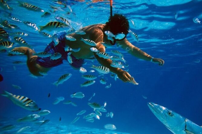Full-Day Catamaran Cozumel Tour with Sky Snorkeling - Key highlights to pay attention to