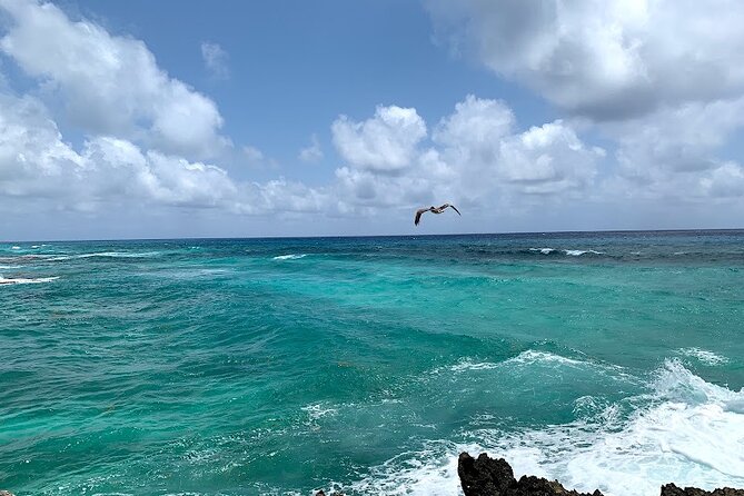 Full-Day Catamaran Cozumel Tour with Sky Snorkeling - Palancar Reefs snorkeling: where the coral show happens