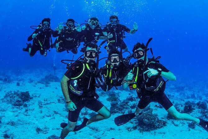 Fun dives Cozumel south marine park - Who this tour fits best (and who should think twice)