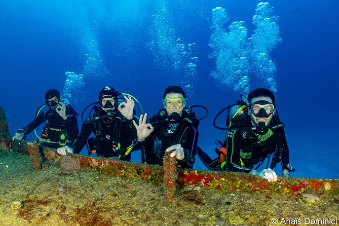 FunDiving in Cozumel - By Ferry - 2 Tanks in the wonderful Caribbean sea - Ferry to Cozumel: How the Morning Rhythm Works