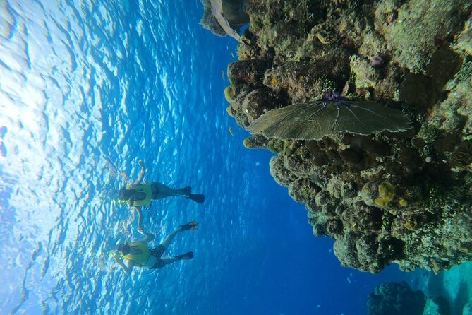 Get to know heaven on earth with Chivis del mar private - Gear, guide help, and what to bring (especially the sunscreen rule)