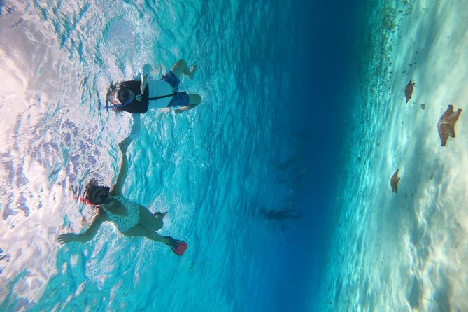 Get to know heaven on earth with Chivis del mar private - Price and value for a private group up to 5