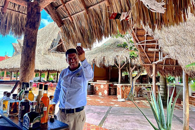 Half-Day Island Tour with Mayan Experience & Beach Break - A 4 to 5 hour Cozumel loop that stays fun