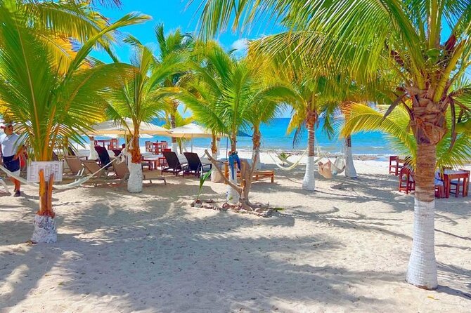 Half-Day Island Tour with Mayan Experience & Beach Break - Tequila, honey, chocolate, and Mexican food tastings that actually matter