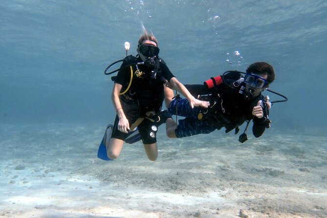 Introductory Diving Class in the Cozumel Reefs - Key highlights
