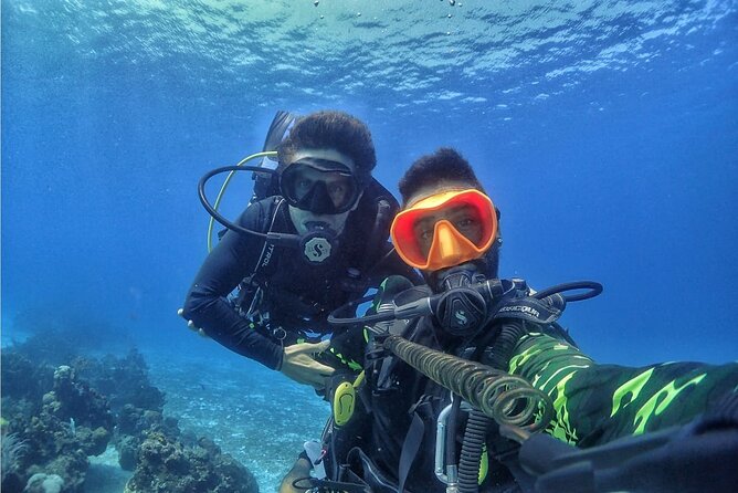 Introductory Diving Class in the Cozumel Reefs - The 5-hour plan: class, shallow skills, then two reef sessions