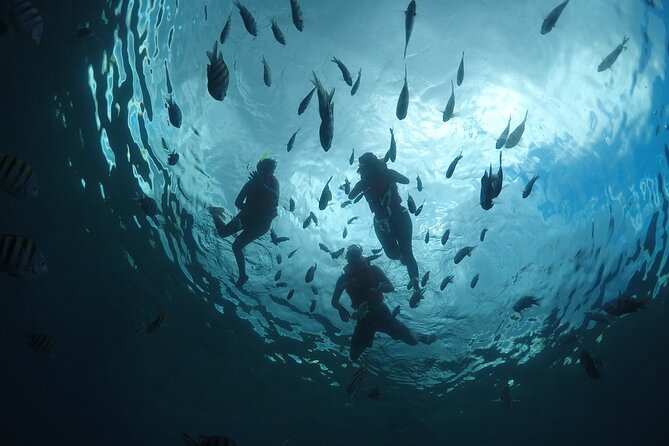 Invisible Boat Snorkeling Tour - What Makes a Clear Hull Cozumel Tour Feel Different