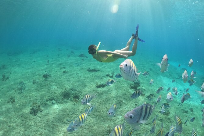 Invisible Boat Snorkeling Tour - Snorkeling Breaks: Gear Included, But Time Varies