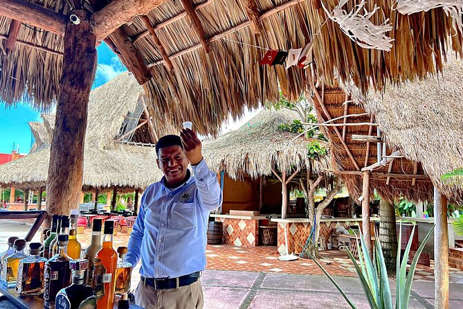 Island Tour in Cozumel, Mayan Show & Tacos - Setting out from Royal Village Shopping Center