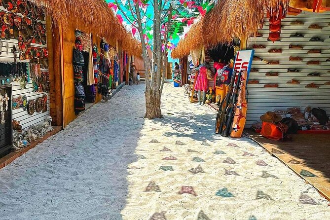 Island Tour in Cozumel, Mayan Show & Tacos - Otoch Mayan Experience: a Mayan show in a cultural park