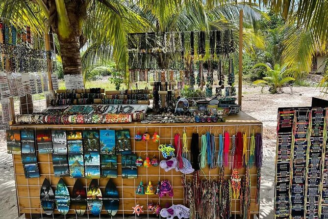 Island Tour in Cozumel, Mayan Show & Tacos - How the food moment works for lunch, tasting, and possible tacos