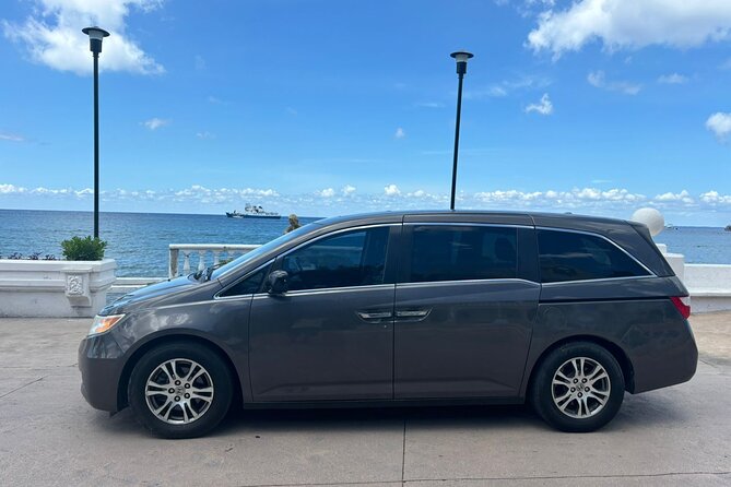 Jeep, Buggy, and Minivan Rentals in Cozumel - When Adding a Guide Makes the Day Better (Claudio and Gizmo)