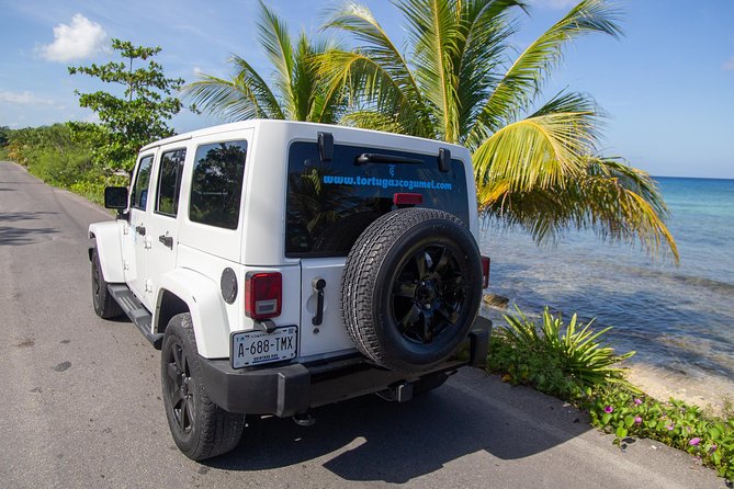 Jeep Exploration & All Inclusive Tortugas Beach Break (Private) - Group Size and the Driving Rule: Who This Tour Works For
